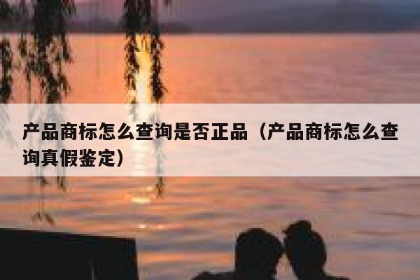 产品商标怎么查询是否正品(产品商标怎么查询真假鉴定) 第1张 产品商标怎么查询是否正品(产品商标怎么查询真假鉴定) 第1张