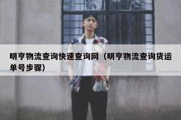 明亨物流查询快速查询网(明亨物流查询货运单号步骤) 第1张 明亨物流查询快速查询网(明亨物流查询货运单号步骤) 第1张