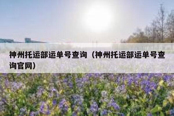 神州托运部运单号查询(神州托运部运单号查询官网) 第1张 神州托运部运单号查询(神州托运部运单号查询官网) 第1张