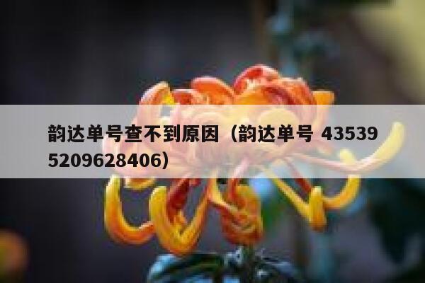韵达单号查不到原因（韵达单号 435395209628406） 第1张