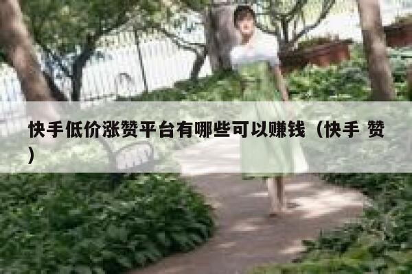 快手低价涨赞平台有哪些可以赚钱（快手 赞） 第1张