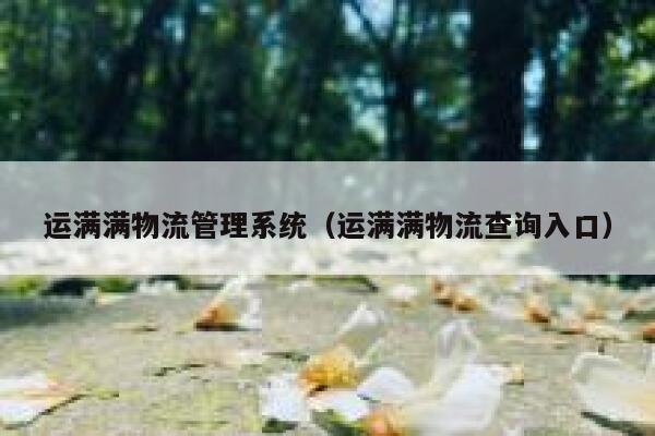运满满物流管理系统（运满满物流查询入口） 第1张