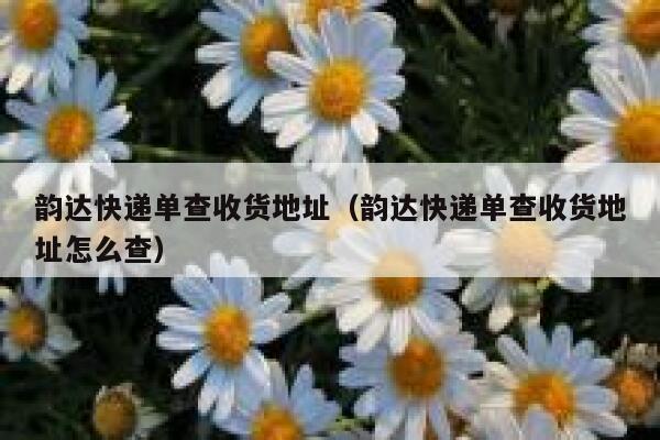 韵达快递单查收货地址（韵达快递单查收货地址怎么查） 第1张