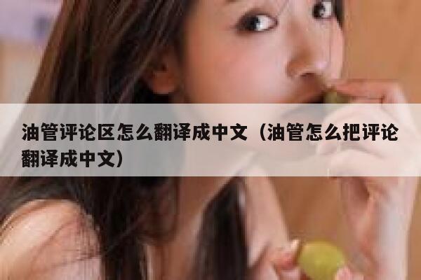 油管评论区怎么翻译成中文(油管怎么把评论翻译成中文) 第1张 油管评论区怎么翻译成中文(油管怎么把评论翻译成中文) 第1张