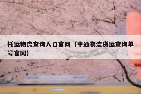 托运物流查询入口官网（中通物流货运查询单号官网） 第1张
