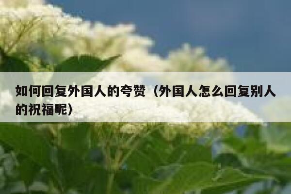 如何回复外国人的夸赞(外国人怎么回复别人的祝福呢) 第1张 如何回复外国人的夸赞(外国人怎么回复别人的祝福呢) 第1张