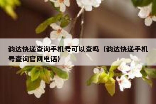 韵达快递查询手机号可以查吗(韵达快递手机号查询官网电话) 第1张 韵达快递查询手机号可以查吗(韵达快递手机号查询官网电话) 第1张