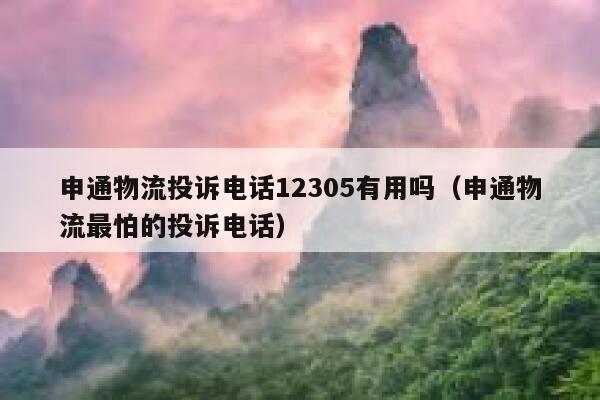 申通物流投诉电话12305有用吗(申通物流最怕的投诉电话) 第1张 申通物流投诉电话12305有用吗(申通物流最怕的投诉电话) 第1张