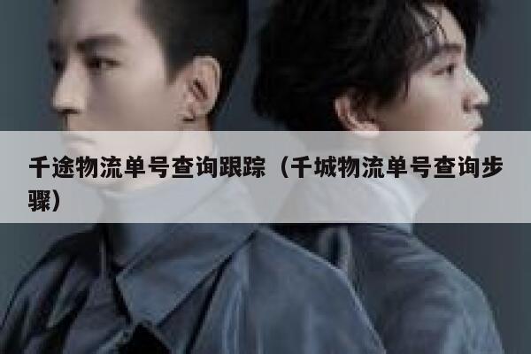 千途物流单号查询跟踪（千城物流单号查询步骤） 第1张