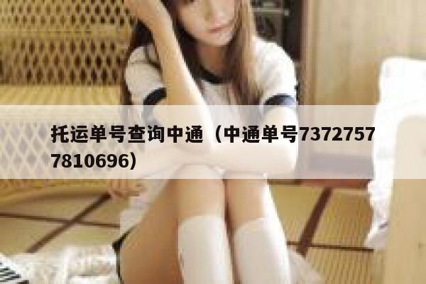 托运单号查询中通（中通单号73727577810696） 第1张