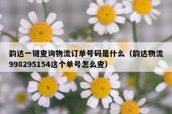 韵达一键查询物流订单号码是什么（韵达物流998295154这个单号怎么查） 第1张