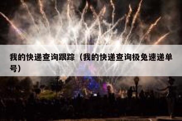 我的快递查询跟踪（我的快递查询极兔速递单号） 第1张