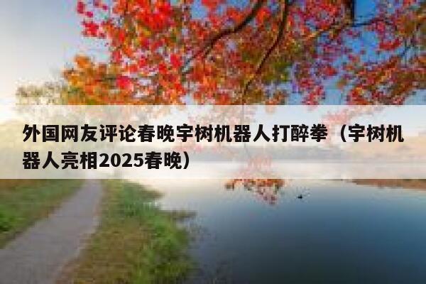 外国网友评论春晚宇树机器人打醉拳(宇树机器人亮相2025春晚) 第1张 外国网友评论春晚宇树机器人打醉拳(宇树机器人亮相2025春晚) 第1张