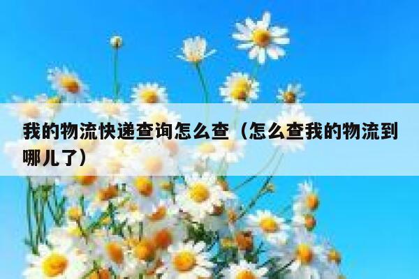 我的物流快递查询怎么查（怎么查我的物流到哪儿了） 第1张