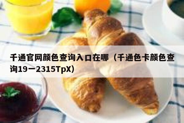 千通官网颜色查询入口在哪（千通色卡颜色查询19一2315TpX） 第1张