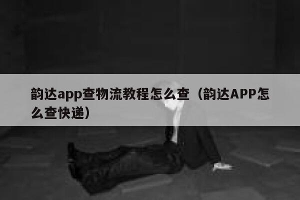 韵达app查物流教程怎么查(韵达APP怎么查快递) 第1张 韵达app查物流教程怎么查(韵达APP怎么查快递) 第1张