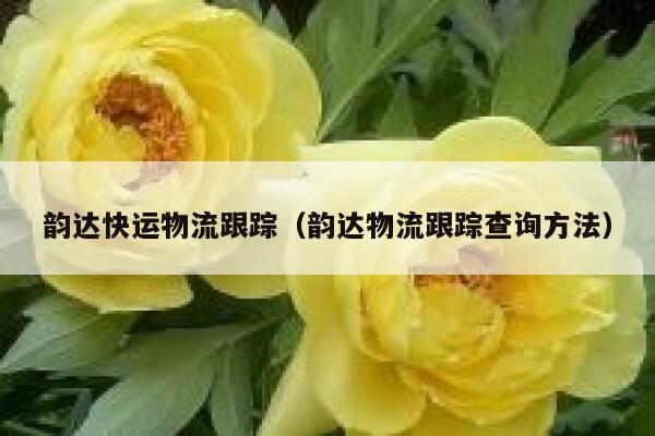 韵达快运物流跟踪（韵达物流跟踪查询方法） 第1张