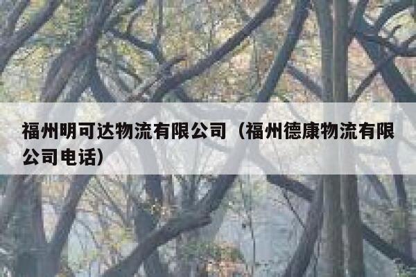 福州明可达物流有限公司（福州德康物流有限公司电话） 第1张
