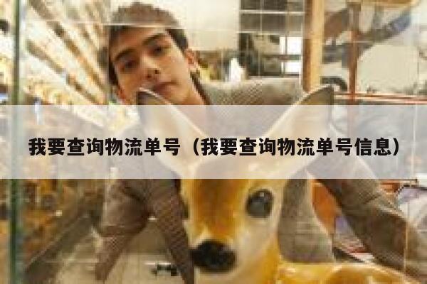 我要查询物流单号（我要查询物流单号信息） 第1张