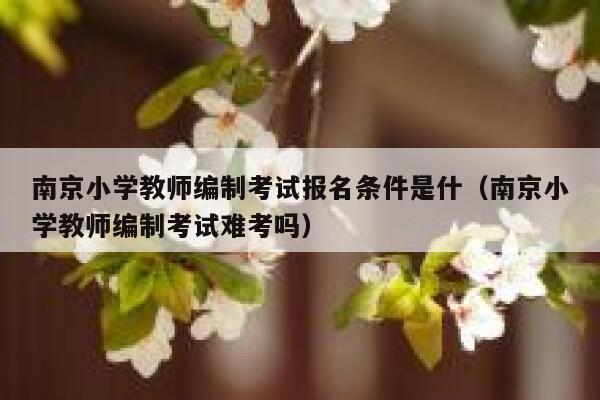 南京小学教师编制考试报名条件是什(南京小学教师编制考试难考吗) 第1张 南京小学教师编制考试报名条件是什(南京小学教师编制考试难考吗) 第1张