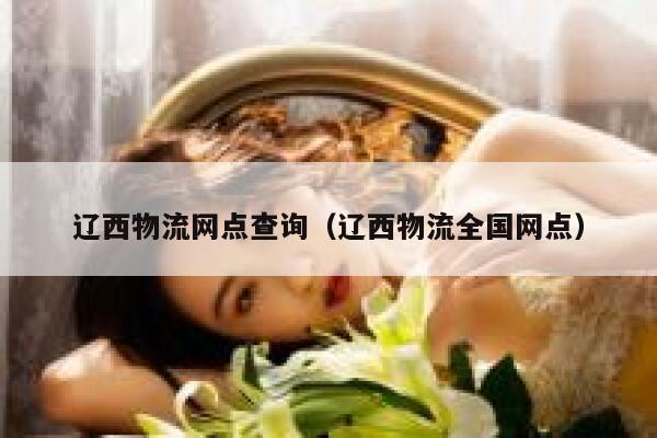 辽西物流网点查询(辽西物流全国网点) 第1张 辽西物流网点查询(辽西物流全国网点) 第1张