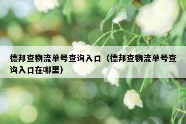 德邦查物流单号查询入口（德邦查物流单号查询入口在哪里） 第1张
