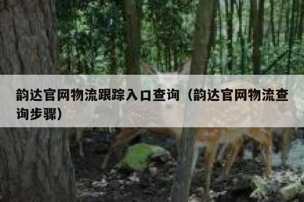 韵达官网物流跟踪入口查询（韵达官网物流查询步骤） 第1张