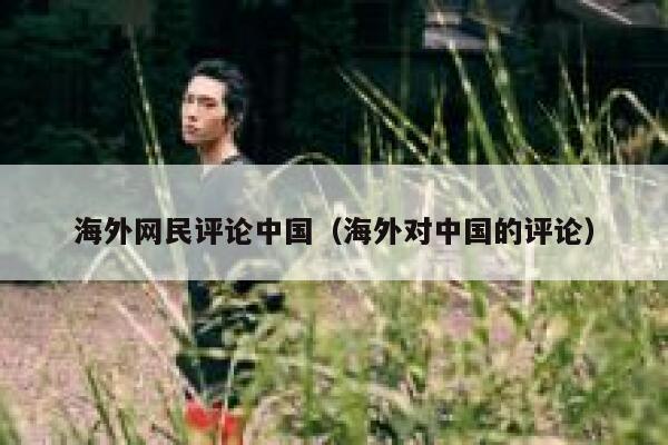 海外网民评论中国（海外对中国的评论） 第1张
