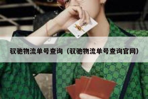 驭驰物流单号查询（驭驰物流单号查询官网） 第1张