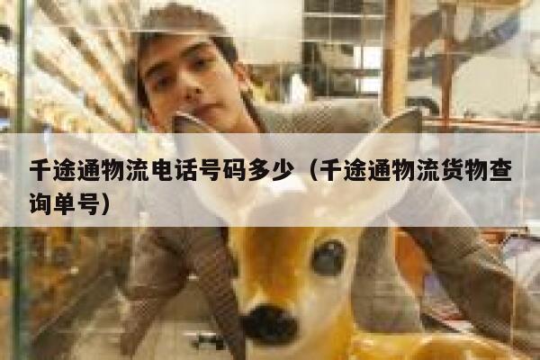 千途通物流电话号码多少（千途通物流货物查询单号） 第1张