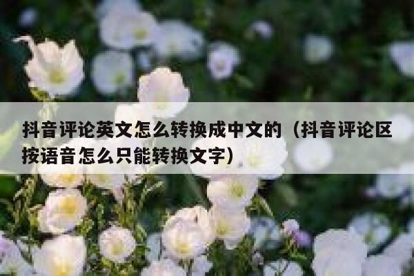 抖音评论英文怎么转换成中文的(抖音评论区按语音怎么只能转换文字) 第1张 抖音评论英文怎么转换成中文的(抖音评论区按语音怎么只能转换文字) 第1张