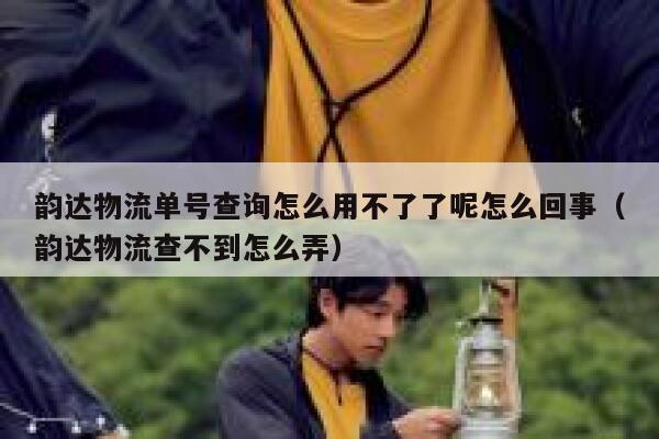 韵达物流单号查询怎么用不了了呢怎么回事（韵达物流查不到怎么弄） 第1张