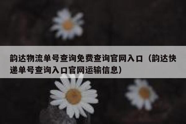 韵达物流单号查询免费查询官网入口(韵达快递单号查询入口官网运输信息) 第1张 韵达物流单号查询免费查询官网入口(韵达快递单号查询入口官网运输信息) 第1张