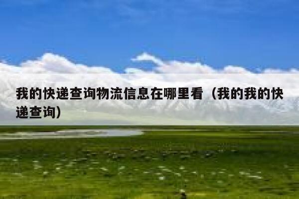 我的快递查询物流信息在哪里看（我的我的快递查询） 第1张
