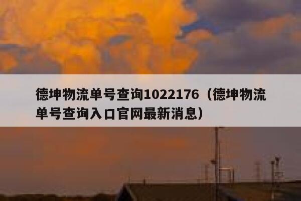 德坤物流单号查询1022176（德坤物流单号查询入口官网最新消息） 第1张