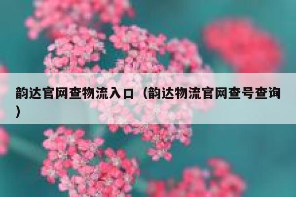 韵达官网查物流入口(韵达物流官网查号查询) 第1张 韵达官网查物流入口(韵达物流官网查号查询) 第1张