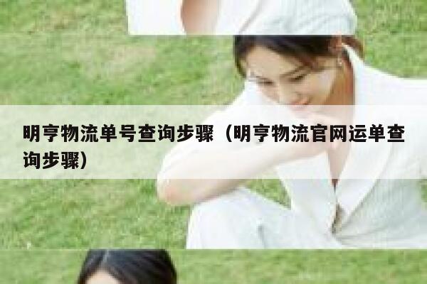 明亨物流单号查询步骤（明亨物流官网运单查询步骤） 第1张