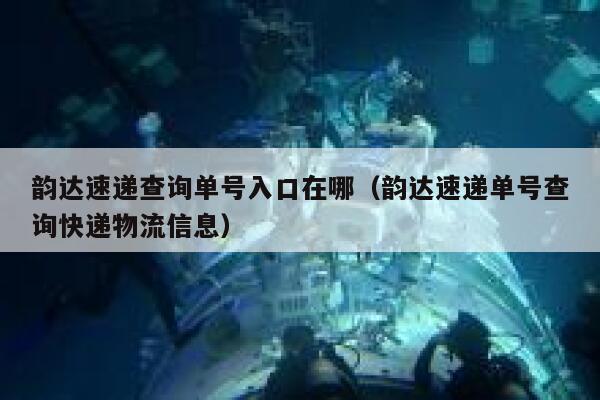 韵达速递查询单号入口在哪(韵达速递单号查询快递物流信息) 第1张 韵达速递查询单号入口在哪(韵达速递单号查询快递物流信息) 第1张