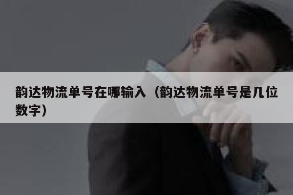韵达物流单号在哪输入(韵达物流单号是几位数字) 第1张 韵达物流单号在哪输入(韵达物流单号是几位数字) 第1张