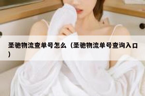 圣驰物流查单号怎么(圣驰物流单号查询入口) 第1张 圣驰物流查单号怎么(圣驰物流单号查询入口) 第1张