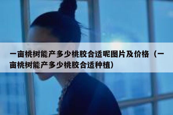 一亩桃树能产多少桃胶合适呢图片及价格(一亩桃树能产多少桃胶合适种植) 第1张 一亩桃树能产多少桃胶合适呢图片及价格(一亩桃树能产多少桃胶合适种植) 第1张