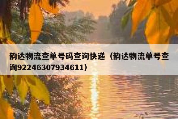 韵达物流查单号码查询快递(韵达物流单号查询92246307934611) 第1张 韵达物流查单号码查询快递(韵达物流单号查询92246307934611) 第1张