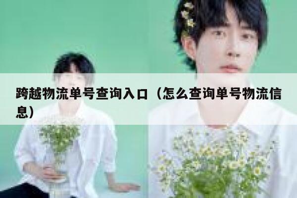 跨越物流单号查询入口(怎么查询单号物流信息) 第1张 跨越物流单号查询入口(怎么查询单号物流信息) 第1张