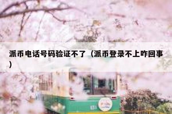 派币电话号码验证不了（派币登录不上咋回事） 第1张