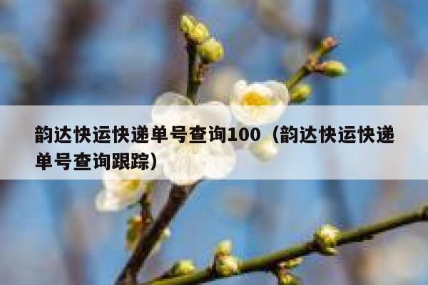 韵达快运快递单号查询100(韵达快运快递单号查询跟踪) 第1张 韵达快运快递单号查询100(韵达快运快递单号查询跟踪) 第1张