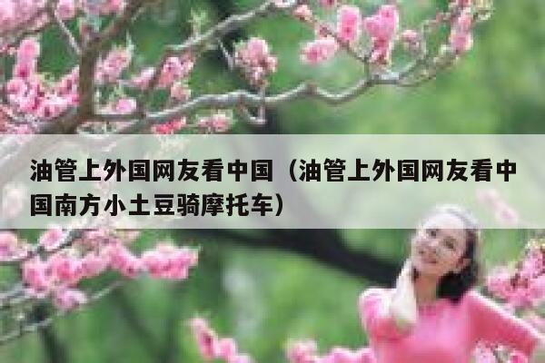 油管上外国网友看中国（油管上外国网友看中国南方小土豆骑摩托车） 第1张