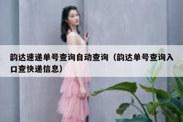 韵达速递单号查询自动查询（韵达单号查询入口查快递信息） 第1张