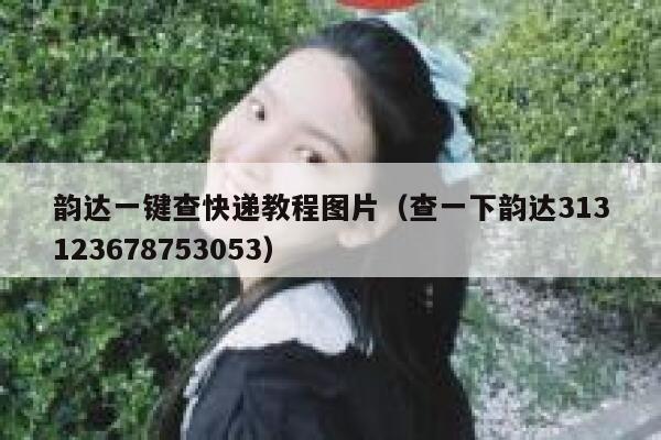 韵达一键查快递教程图片(查一下韵达313123678753053) 第1张 韵达一键查快递教程图片(查一下韵达313123678753053) 第1张