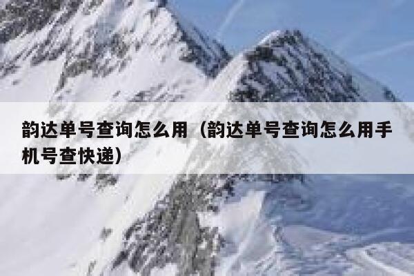 韵达单号查询怎么用（韵达单号查询怎么用手机号查快递） 第1张