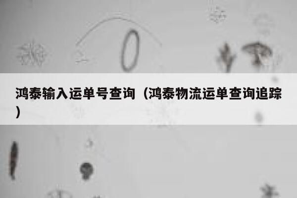 鸿泰输入运单号查询（鸿泰物流运单查询追踪） 第1张